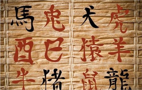 亿万发财符短剧大结局免费观看 亿万富翁发财秘诀 --第1张