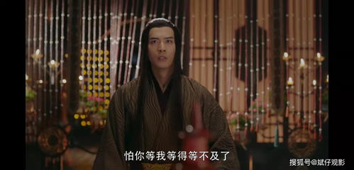 霍总夫人让您闭嘴短剧大结局免费观看，爱情终成正果--第1张