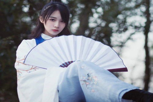 宠爱无疆之嫡公主的锦绣荣华免费观看，李子峰短剧大结局--第1张