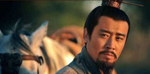 穿越无双，虎将与军师的终极对决--第1张