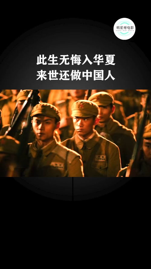 虽远必诛短剧大结局免费观看--第1张