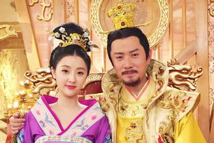 驸马无双短剧大结局免费观看，结局震撼，一场爱情之旅终于圆满结束--第1张