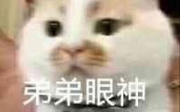 神豪大佬，开局即巅峰免费观看--第1张