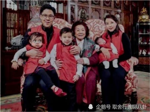 霍总anti 霍总那对龙凤胎和你长的很像短剧大结局免费观看 --第1张