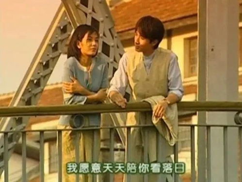退婚后我成了渣男的首富婶母--第1张