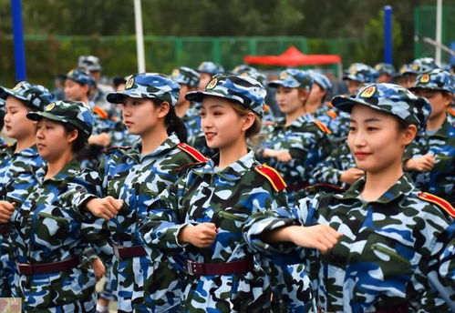 合约期间爱上她，大结局免费观看--第1张
