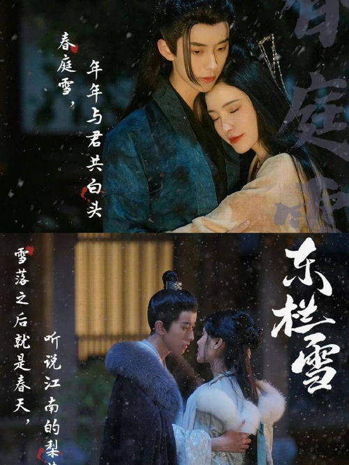 盖世剧情 盖世短剧大结局免费观看 --第1张