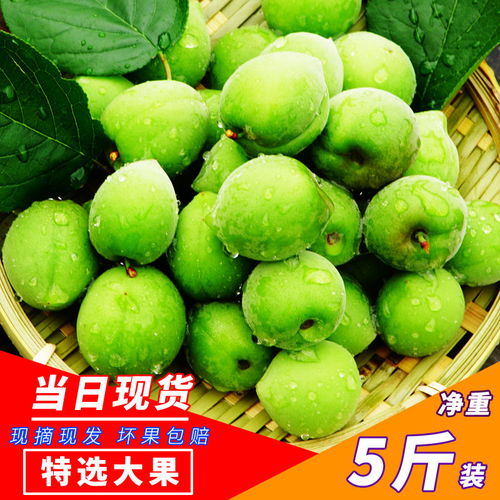 青梅酸酸你微甜大结局免费观看，青梅酸梅情缘--第1张