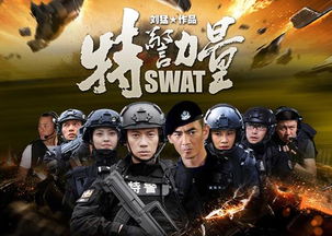 盖世拳神短剧大结局免费观看 盖世拳神短剧大结局免费观看视频 --第1张