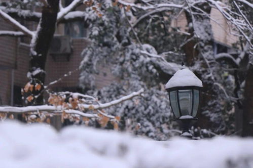 雪落下的声音短剧大结局免费观看 雪落下的声音短剧大结局免费观看全集 --第1张
