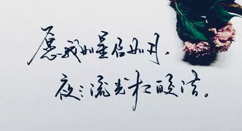 世间万物不及你短剧大结局免费观看 世间万物不及你短剧大结局免费观看 --第1张