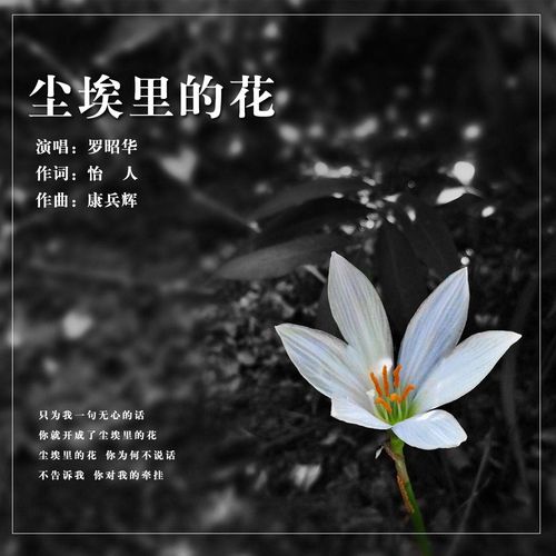 尘埃里的花朵图片，大结局免费观看--第1张