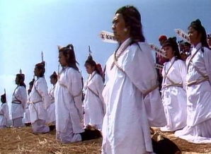 讨薪皇帝天命大神豪短剧大结局免费观看 讨薪出人命 --第1张