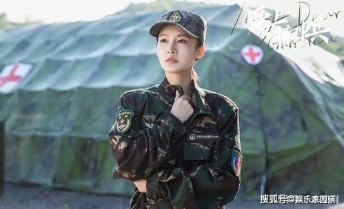 特战龙帅大结局免费观看高清--第1张