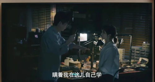风起时遇见你免费观看大结局，风起时见你短剧完整版在线看--第1张