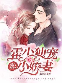 霍少的天价罪妻短剧大结局免费观看，霍少与妻子共同揭开谜团，实现幸福结局--第1张