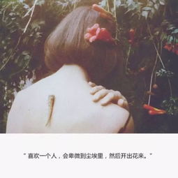 尘埃里的花朵大结局免费观看在线阅读--第1张