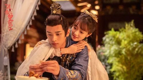 穿越古代娶公主，大结局免费观看--第1张