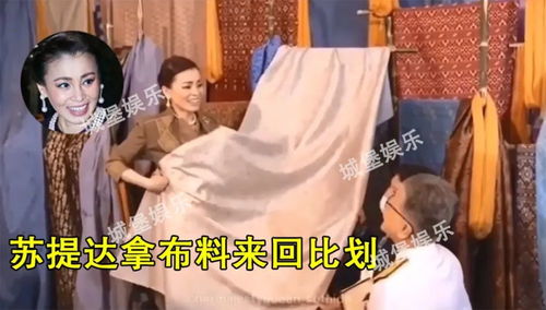 贴身侍卫女主，契约婚姻大结局免费观看--第1张