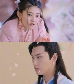 穿越王妃，和离大结局免费观看--第1张