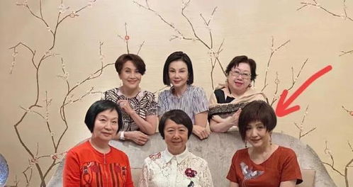 霍总，你的龙凤胎和短剧大结局来啦！--第1张