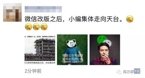 被渣后年下大佬把我宠上天短剧免费大结局阅读--第1张
