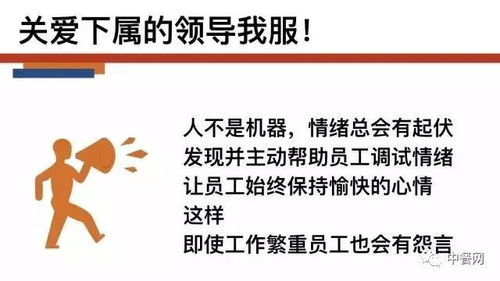 老板我要辞职图片 老板，我要离职创业——长篇短剧大结局在线观看 --第1张