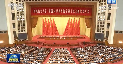 最强婚宠，短剧大结局，老婆别想跑！--第1张