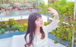 漂亮女总裁不好惹短剧大结局在线观看，爱情终成，幸福美满--第1张