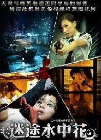迷途短剧大结局在线观看 迷途短剧大结局在线观看全集 --第1张