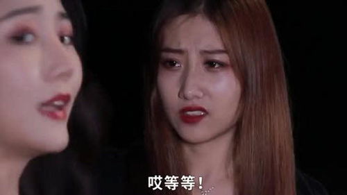 离婚后四大美女倒追我，短剧大结局在线观看--第1张