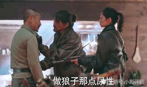 进击的小伙子 进击的小辰子短剧大结局在线观看 --第1张