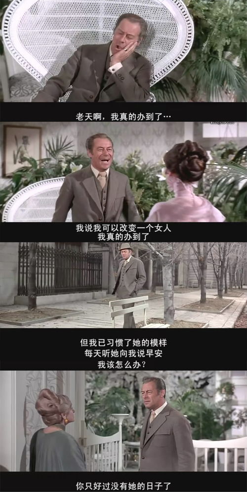 爱在日出前大结局在线观看，主题曲来自哪里？--第1张