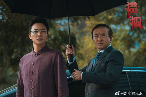凌云之志短剧大结局在线观看全集，揭秘最终结局--第1张