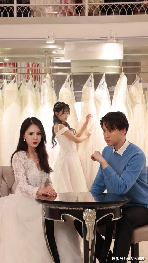 夜少你老婆又跑了短剧大结局在线观看 夜少的老婆又重生了 --第1张