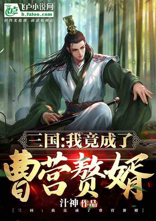 神秘赘婿惹起大结局_神秘赘婿 小说--第1张