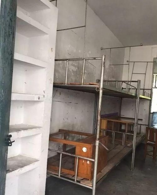 九天狐成名之战 天狐九针，天狐神宗短剧大结局在线观看 --第1张