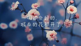 《城南花开》 城南花正开短剧大结局在线观看 --第1张