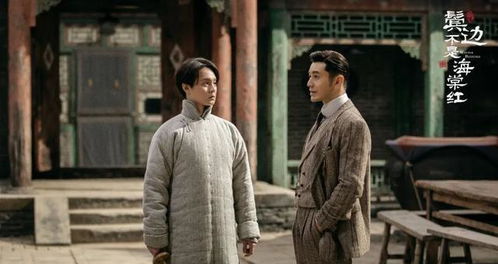 传奇短剧大结局在线观看全集免费版--第1张