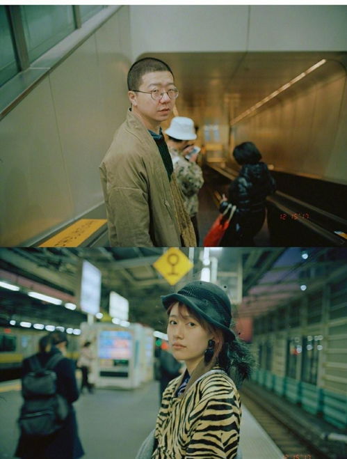 离婚后霍总追妻火葬场大结局在线观看--第1张