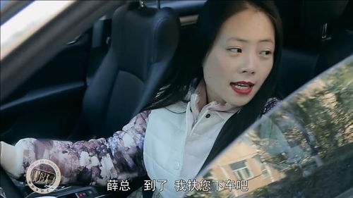 娇妻太撩人短剧大结局在线观看 娇妻太撩人短剧大结局在线观看视频 --第1张