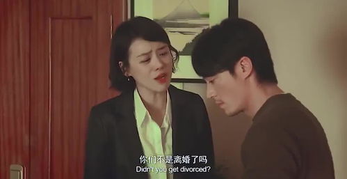 消失的爱2016，爱情转移短剧大结局在线观看--第1张