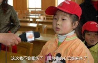 亲爹回来了，人生巅峰大结局在线观看--第1张