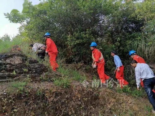 陆总夫人又惊艳四座了 陆总夫人喊你进修男德短剧大结局在线观看 --第1张