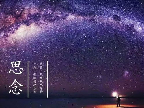 许你漫天星海免费，大结局在线观看--第1张