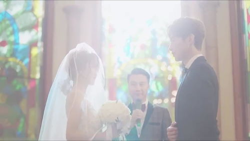 奈何前妻太会撩短剧全集免费观看--第1张