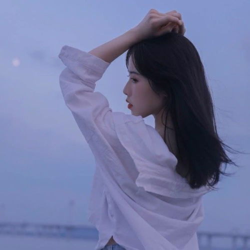 无敌仙婿大结局在线观看免费 全集高清版--第1张