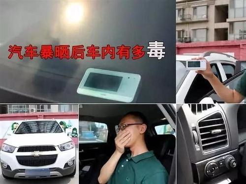 女总裁的代驾小司机短剧大结局在线观看 女总裁的代驾小司机短剧大结局在线观看 --第1张