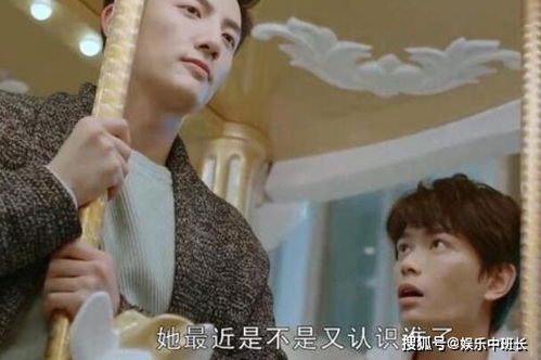 顾总太太又把你拉黑了在线观看，结局反转，意想不到的结局！--第1张