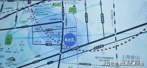 离婚后五个大佬都要娶我短剧大结局在线观看 离婚以后第五熙 --第1张